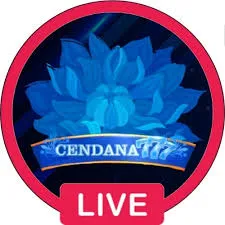 CENDANA777 - Permainan QiuQiu Terbaik untuk Penggemar